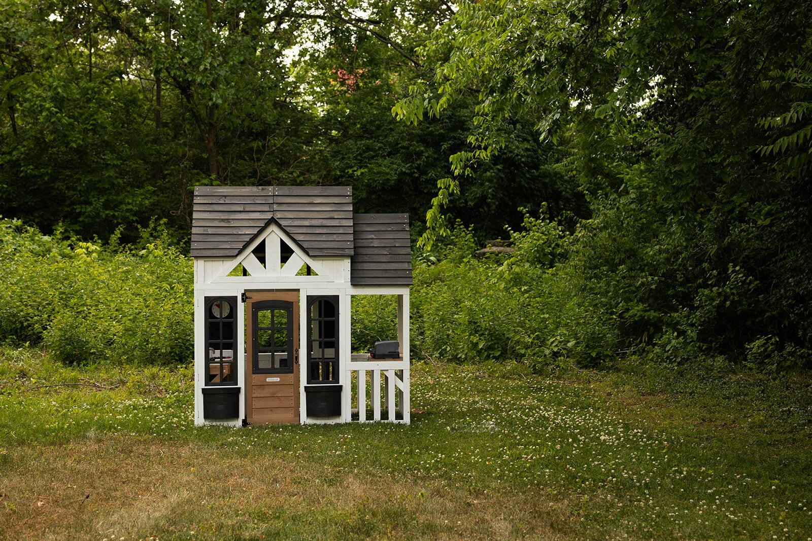 Antoinette's backyard